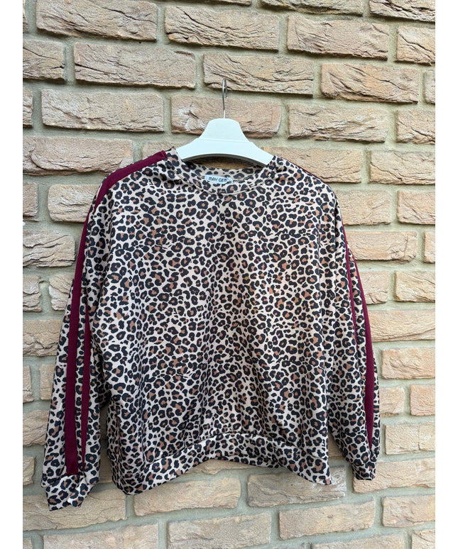 Langarmshirt Leo mit Streifen | bordeaux