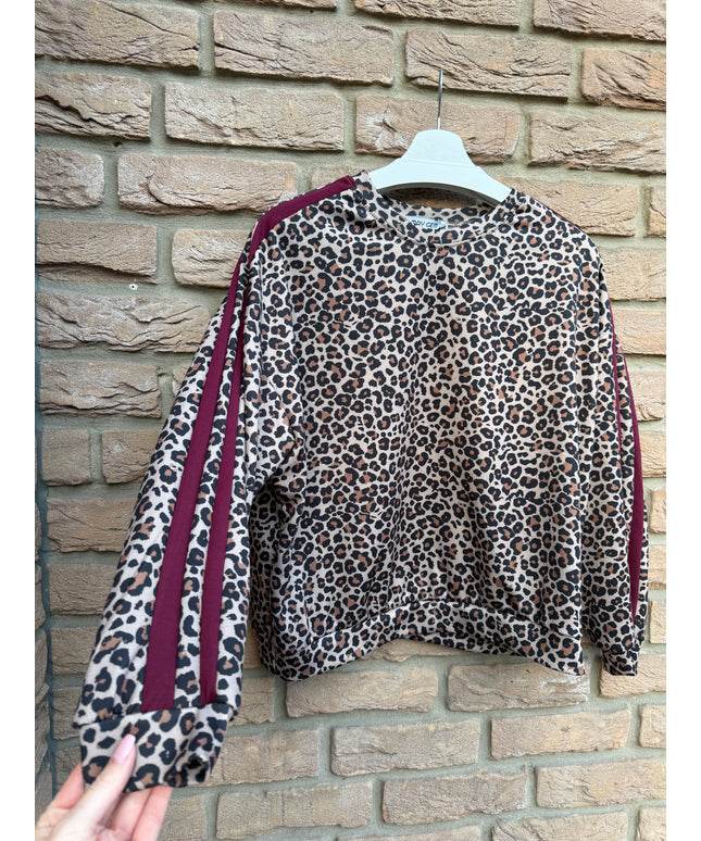 Langarmshirt Leo mit Streifen | bordeaux